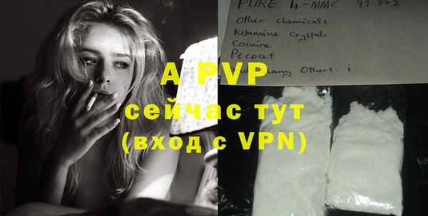 ALPHA PVP Козельск