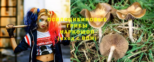 амф Кодинск
