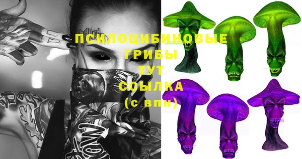 марки nbome Козловка
