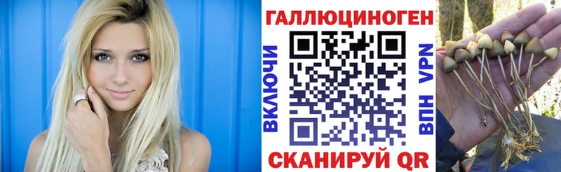 Псилоцибиновые грибы MAGIC MUSHROOMS  Купить где  Шилка 